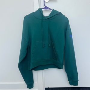 Aritzia TNA cropped hoodie